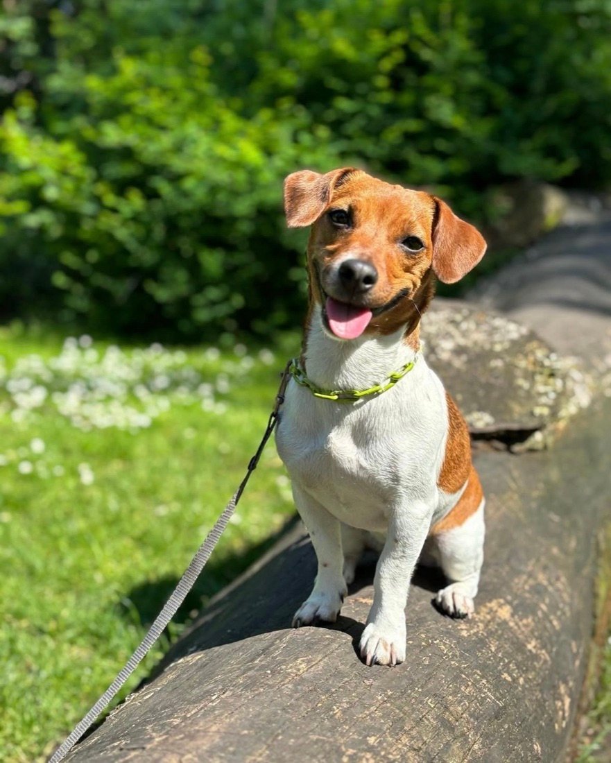 Ella